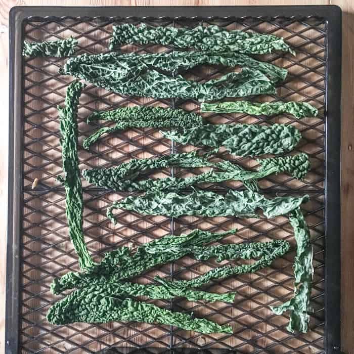 black dehydrator shelf with several bright green dried kale leaves on