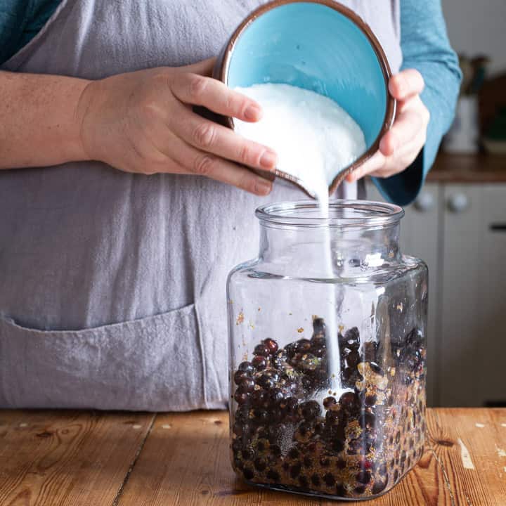 womans hands pouring sugar from a blue bowl into a large glass jar of blackcurrants