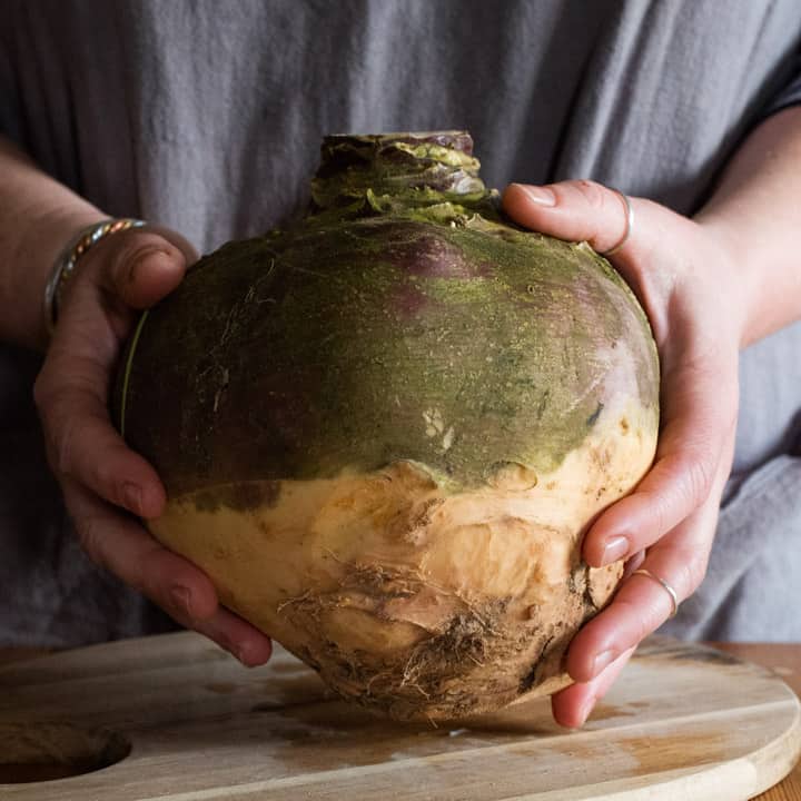 womans hands holding a huge swede