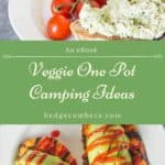 2 fresh recipe shots from the cook book 25 one pot vegetarian camping meals
