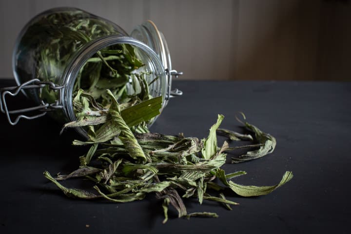 black background with a glass jar of dried ribwort plantain leaves