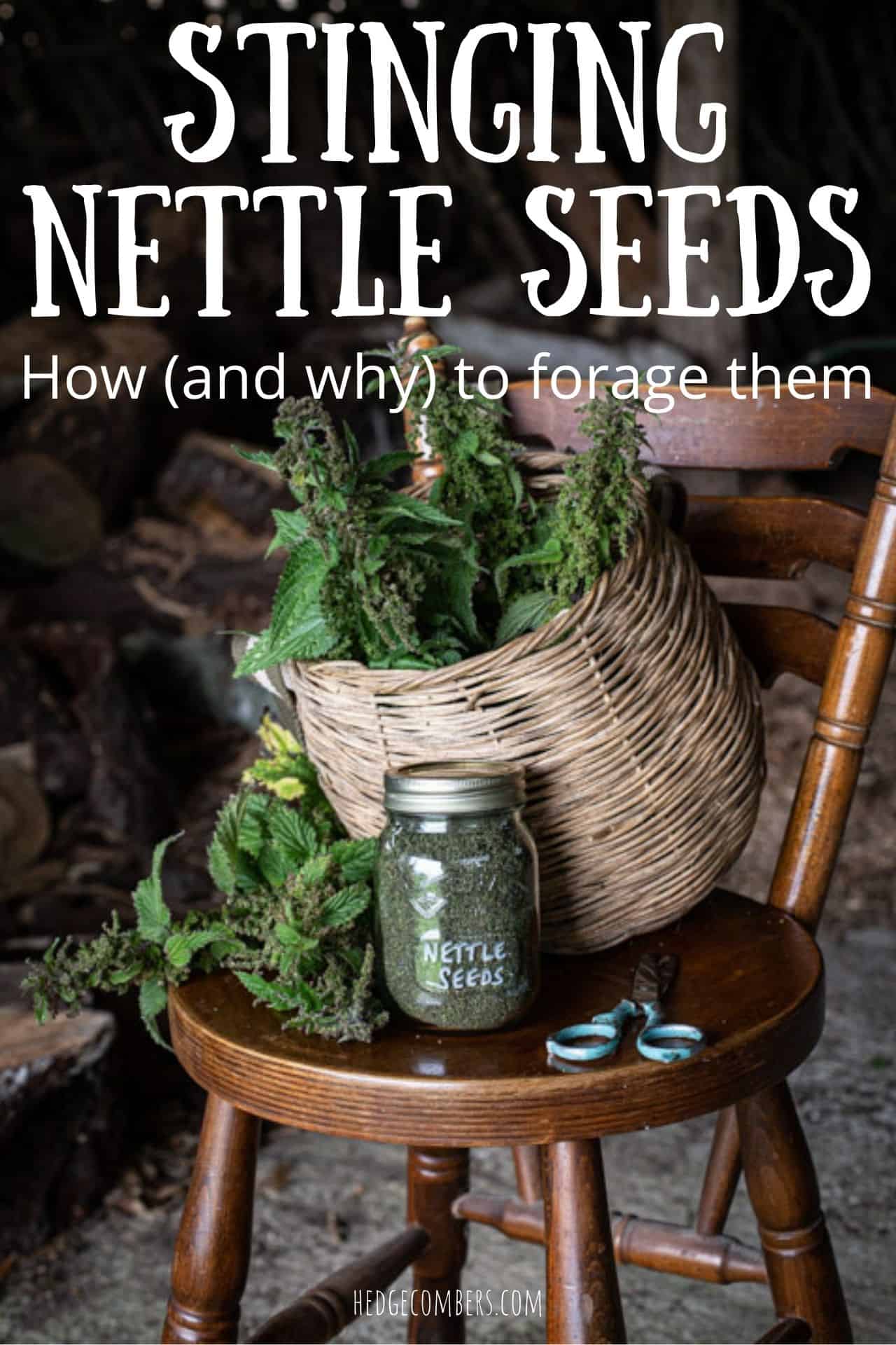 wooden chair with wicker foraging basket filled with stinging nettles and glas jar filled with dried nettle seeds