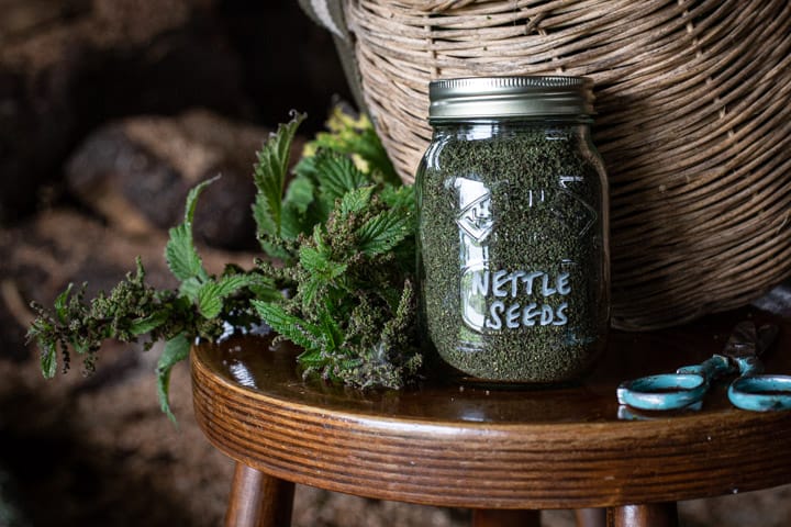 wooden chair with wicker foraging basket filled with stinging nettles and glas jar filled with dried nettle seeds