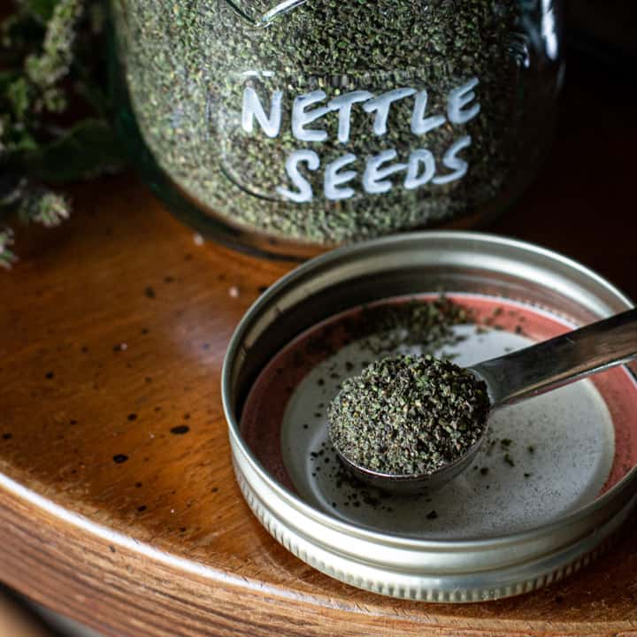 jar of nettle seeds with spoon of seeds in upturned lid on wooden background