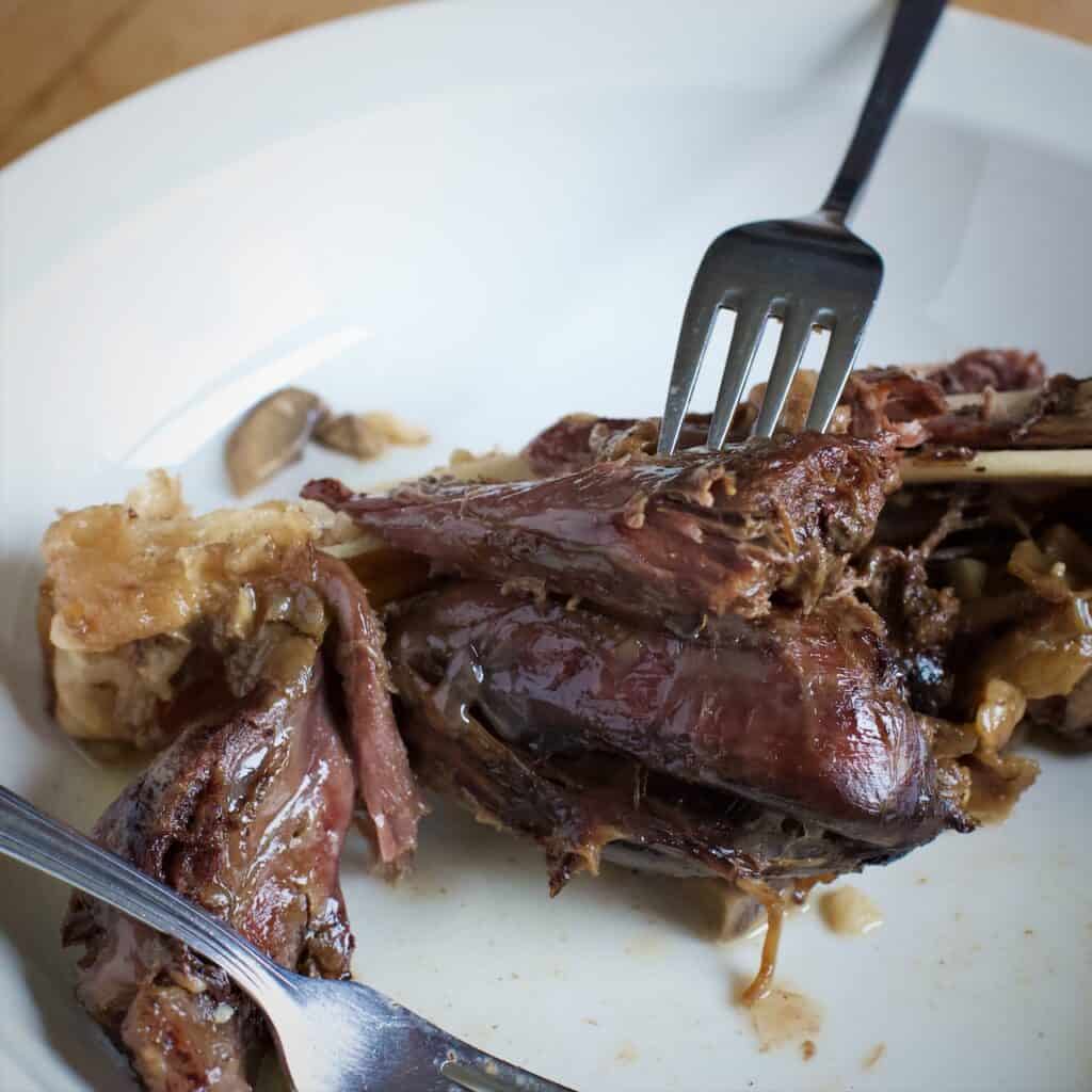 How to Cook Slow Cooker Venison Shanks The